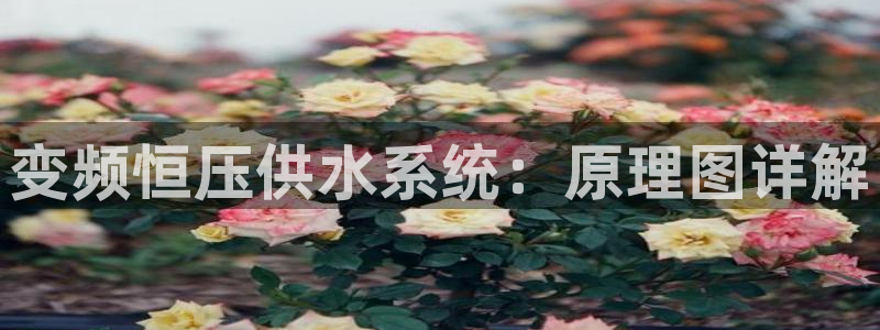 球友会友谊赛赛程