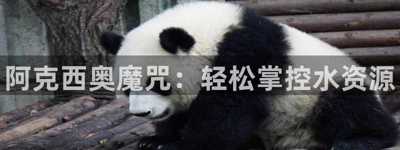 球友会登录不上的原因