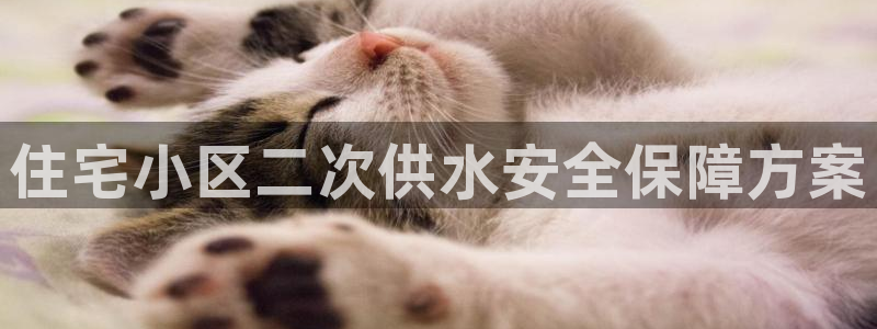 qy球友会体育怎么样