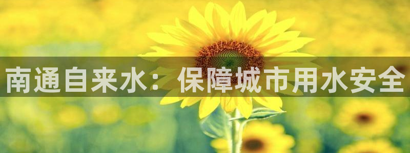 球友会app安全吗