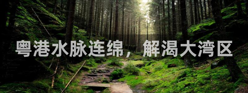 球友会官网