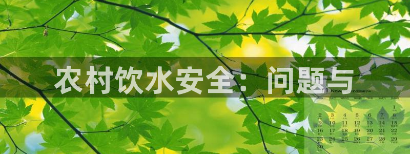 球友会提款审核