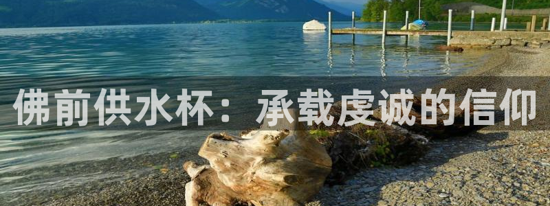 球友会登录地址