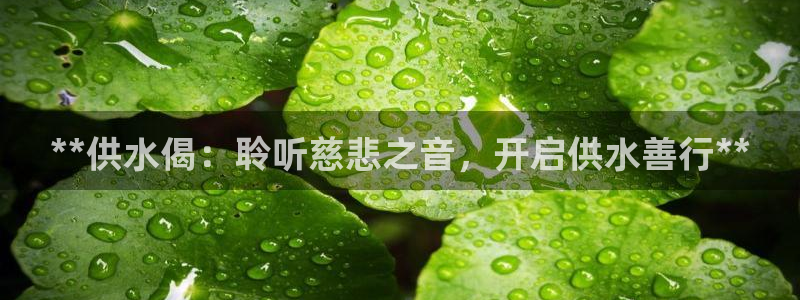 QY球友会体育官网