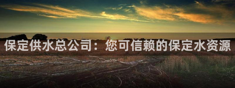 球友会曼联赛事