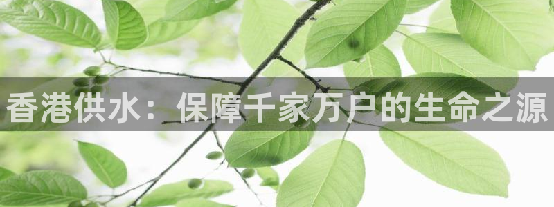 球友会比尔森胜利塔波斯科