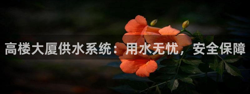 球友会登录不上的原因