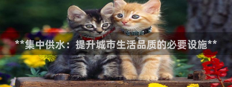 球友会官网app