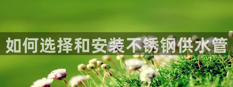 qy球友会体育怎么样
