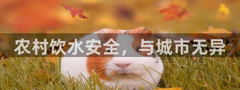 球友会体育app下载安卓