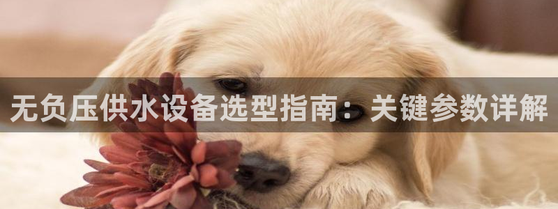 球友会官方网站下载