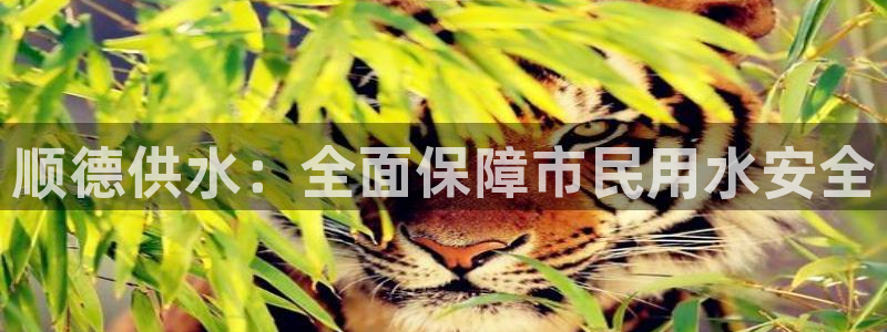 球友会首页
