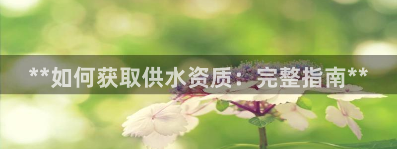 球友会app干啥的软件