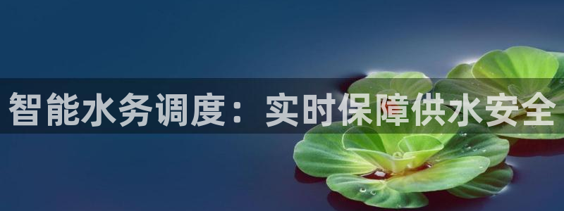 球友会官网登录入口在哪