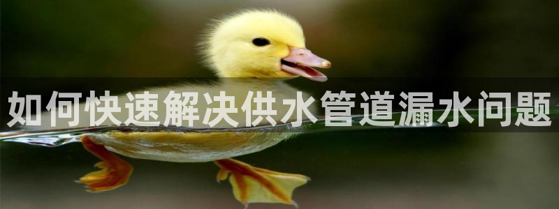 球友会官网app