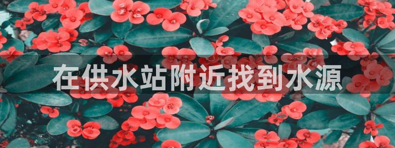 球友会apy