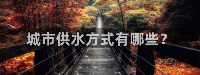 球友会网站多少