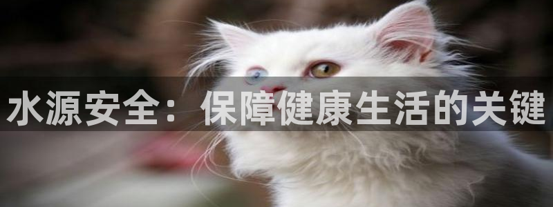 球友会审核