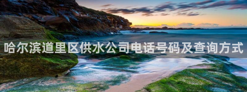 球友会拼音