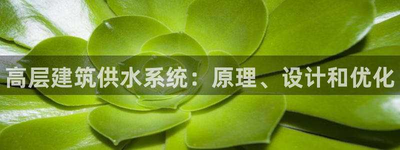 球友会体育app官方版下载安装苹果手机