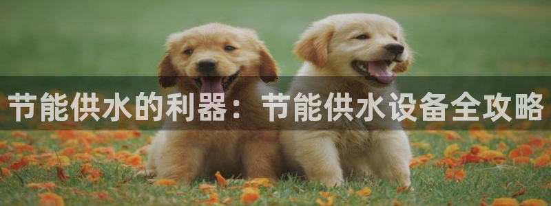 球友会QY