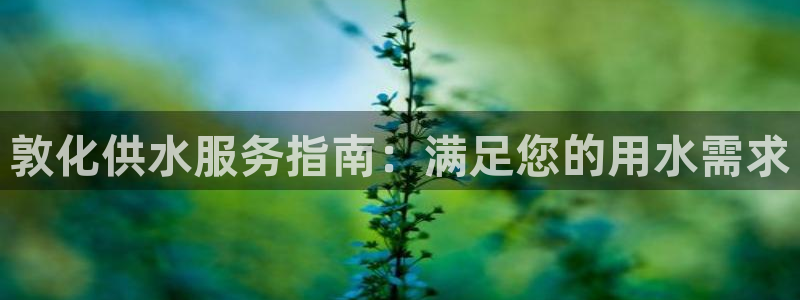 球友会FIFA22比赛是否能随机超控