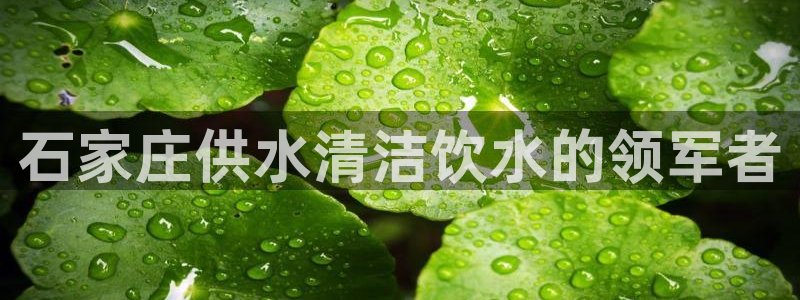 球友会app网址