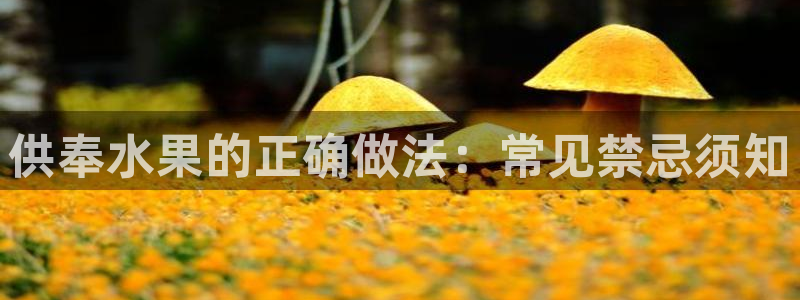 球友会官方网站入口