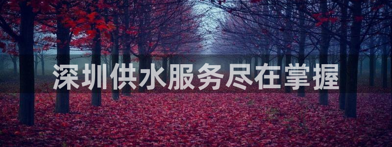 球友会聚餐发言