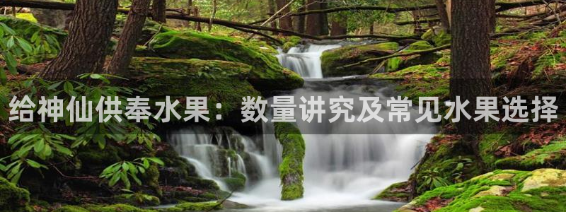 球友会体育app下载安卓手机
