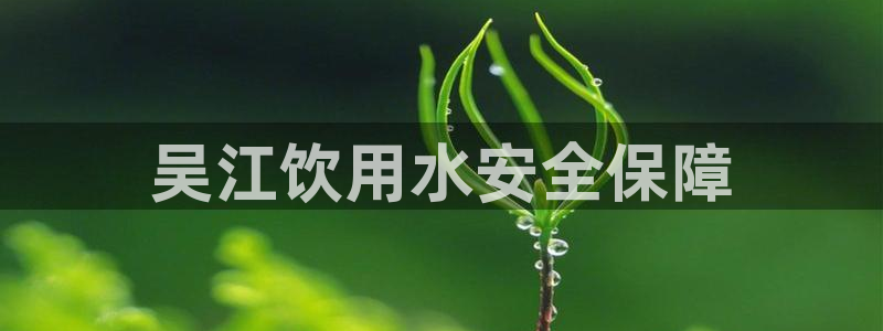 球友会·(QY)官方网站