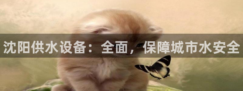 qy球友会体育
