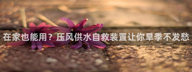 球友会在线登录账号吗安全吗