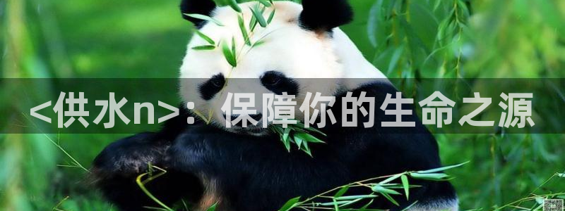 QY球友会体育官网