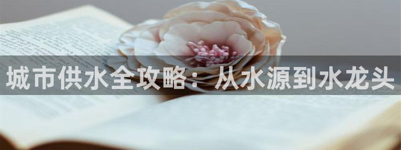 球友会官网入口在哪里