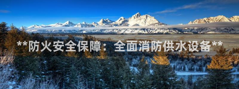 球友会体育