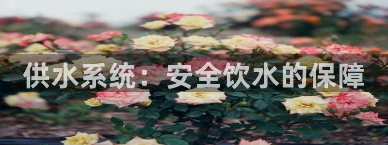 球友会买球打牌绑卡有风险吗?