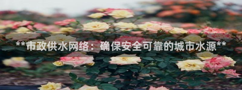 球友会提款不到账