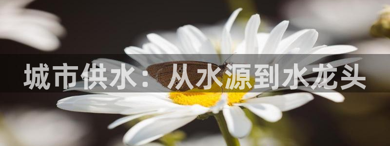 球友会登录网站