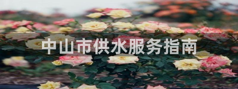 球友会app官网下载苹果