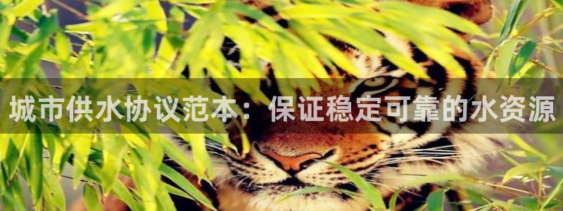 球友会聚餐发言