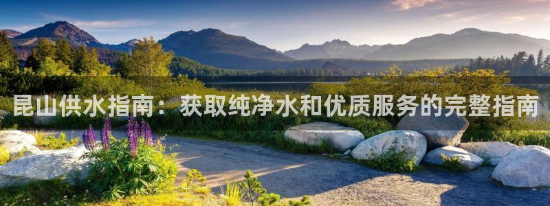 球友会下载安装
