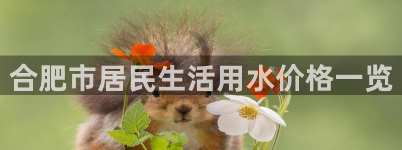 球友会app官网下载安装