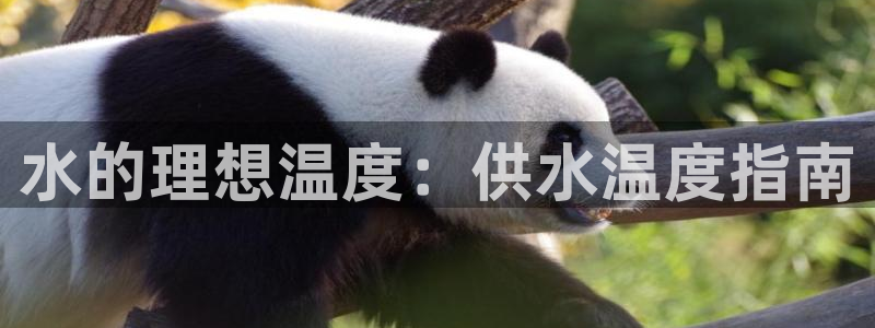 球友会在线登录账号吗安卓