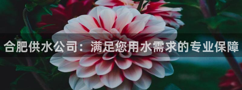 球友会开户礼金在哪领