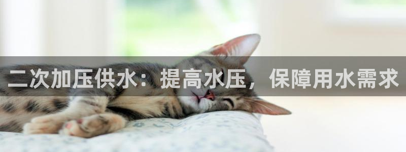 球友会聚餐发言