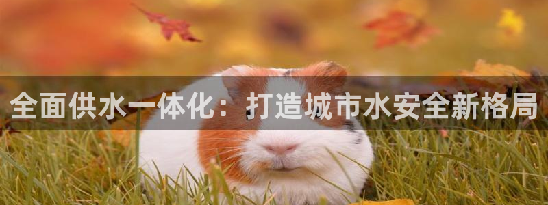 球友会apy
