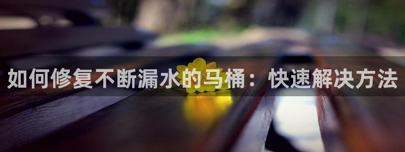 QY球友会