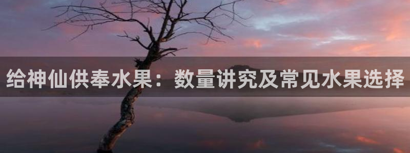 球友会比尔森胜利塔波斯科