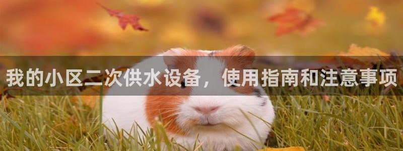球友会是不是大平台